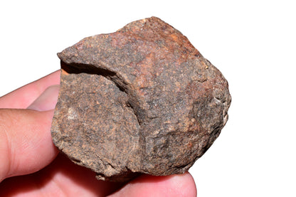Close-up of 108g NWA chondrite meteorite windowed face held in hand revealing fine-grained chondrule texture – Buy Meteorite