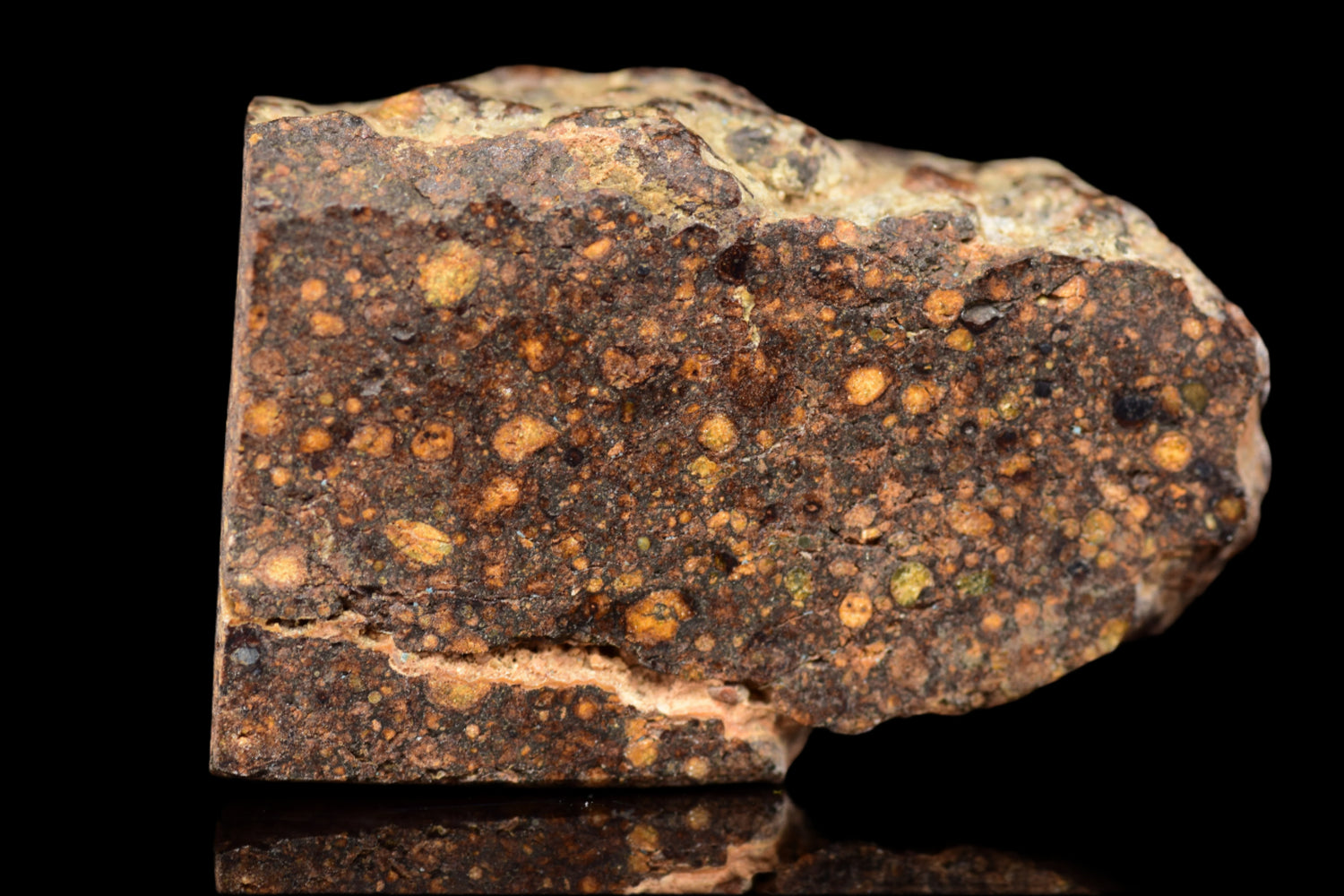 NWA 14870 CR2 Meteorite For Sale