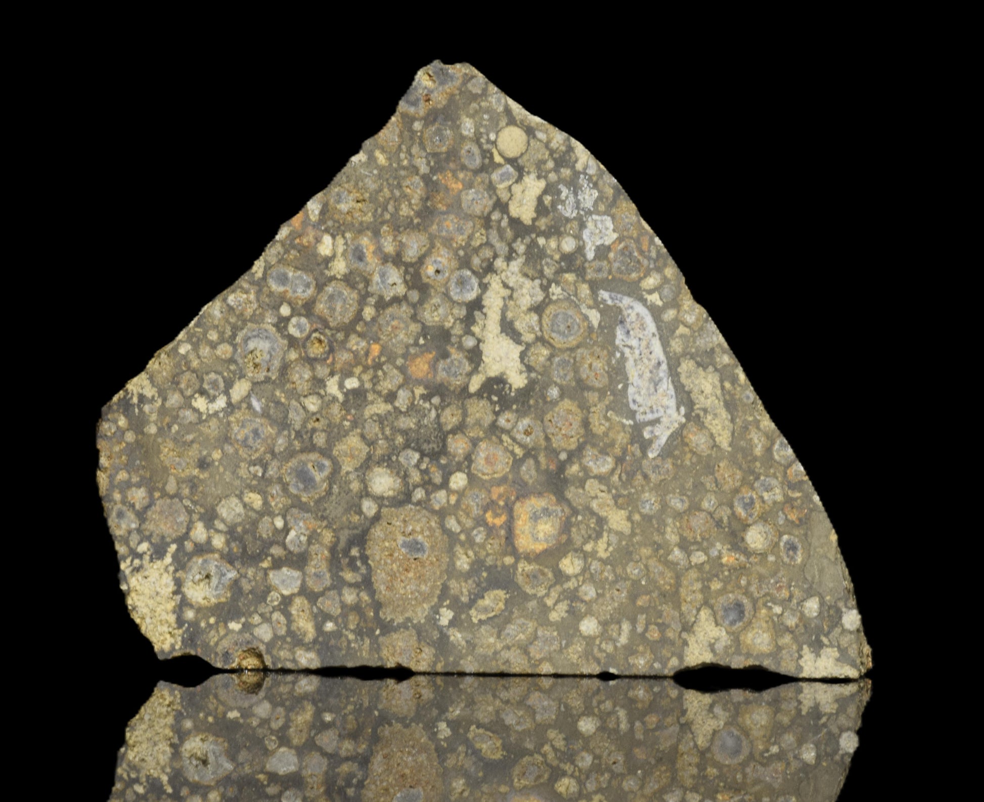Close-up of a CV3 meteorite slice weighing 6.10 grams, showcasing its metallic and mineral-rich surface details.