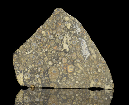 Close-up of a CV3 meteorite slice weighing 6.10 grams, showcasing its metallic and mineral-rich surface details.