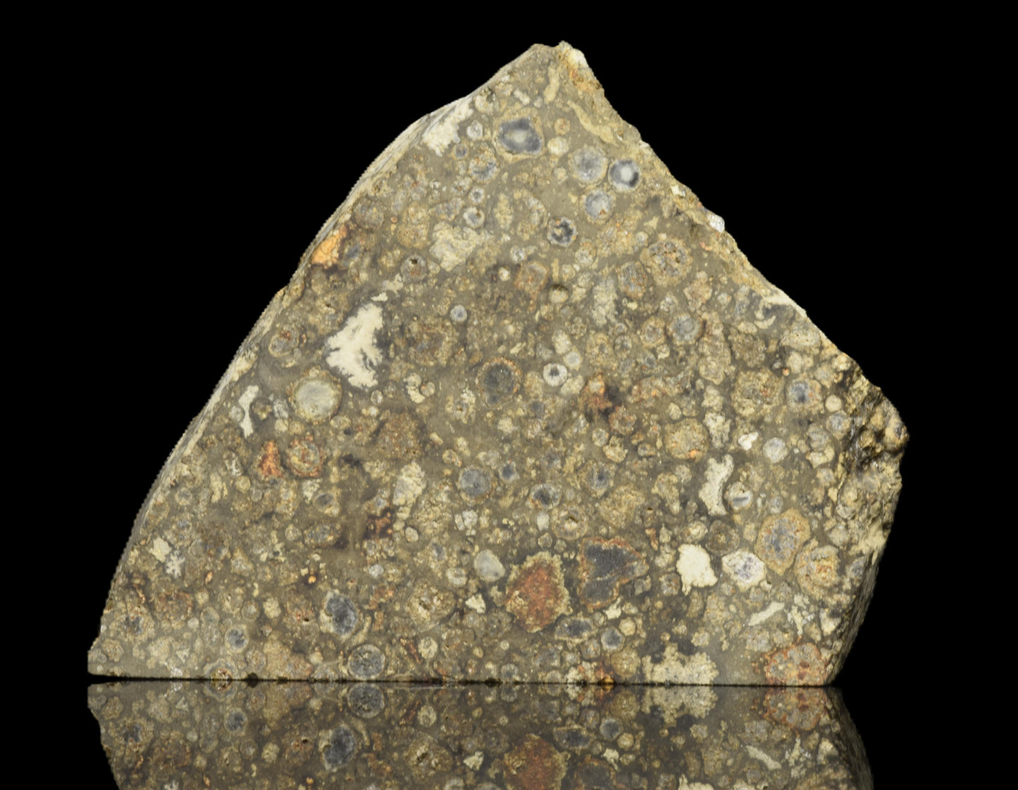NWA 14004 CV3 meteorite slice weighing 6.10 grams, showing metallic and crusted surface details.