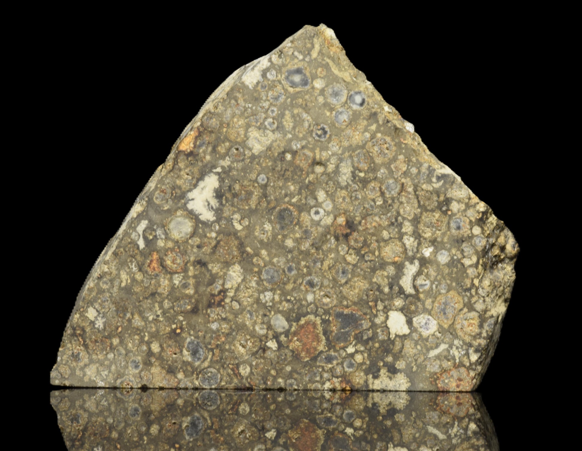 NWA 14004 CV3 meteorite slice weighing 6.10 grams, showing metallic and crusted surface details.