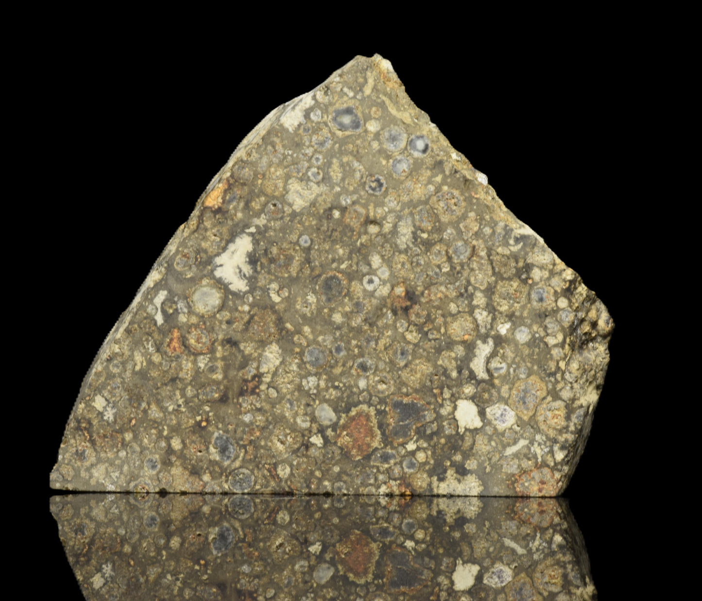 NWA 14004 CV3 meteorite slice weighing 6.10 grams, showcasing its dark exterior and mineral interior, from Buy Meteorite, LLC.
