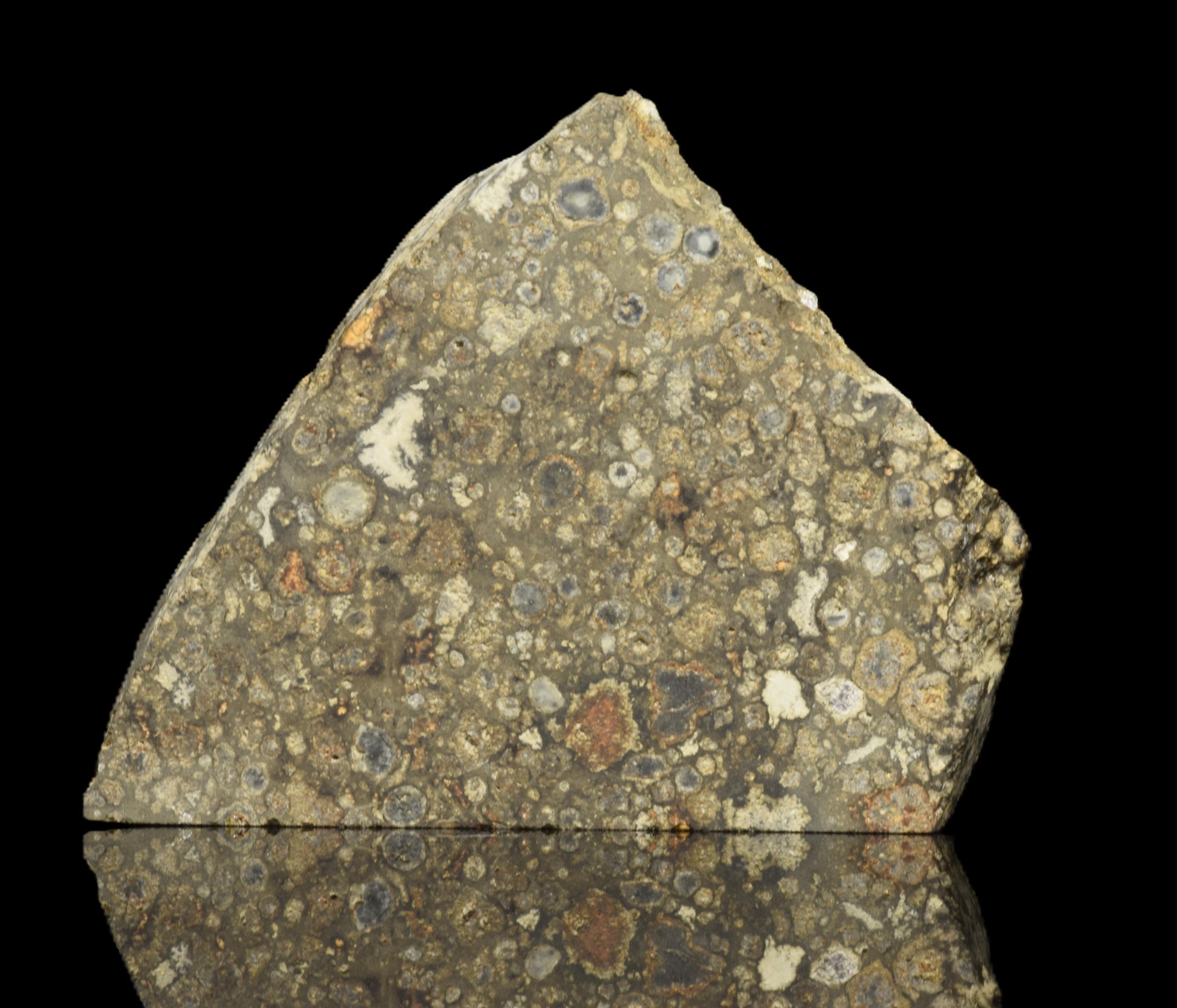 NWA 14004 CV3 meteorite slice weighing 6.10 grams, showcasing its dark exterior and mineral interior, from Buy Meteorite, LLC.