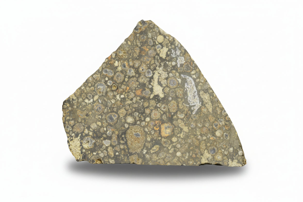 NWA 14004 CV3 meteorite slice weighing 6.10 grams with a dark, textured surface and metallic inclusions, from Buy Meteorite, LLC.