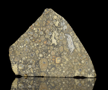 Close-up of NWA 14004 CV3 meteorite slice weighing 6.10 grams, showcasing its metallic and textured surface.