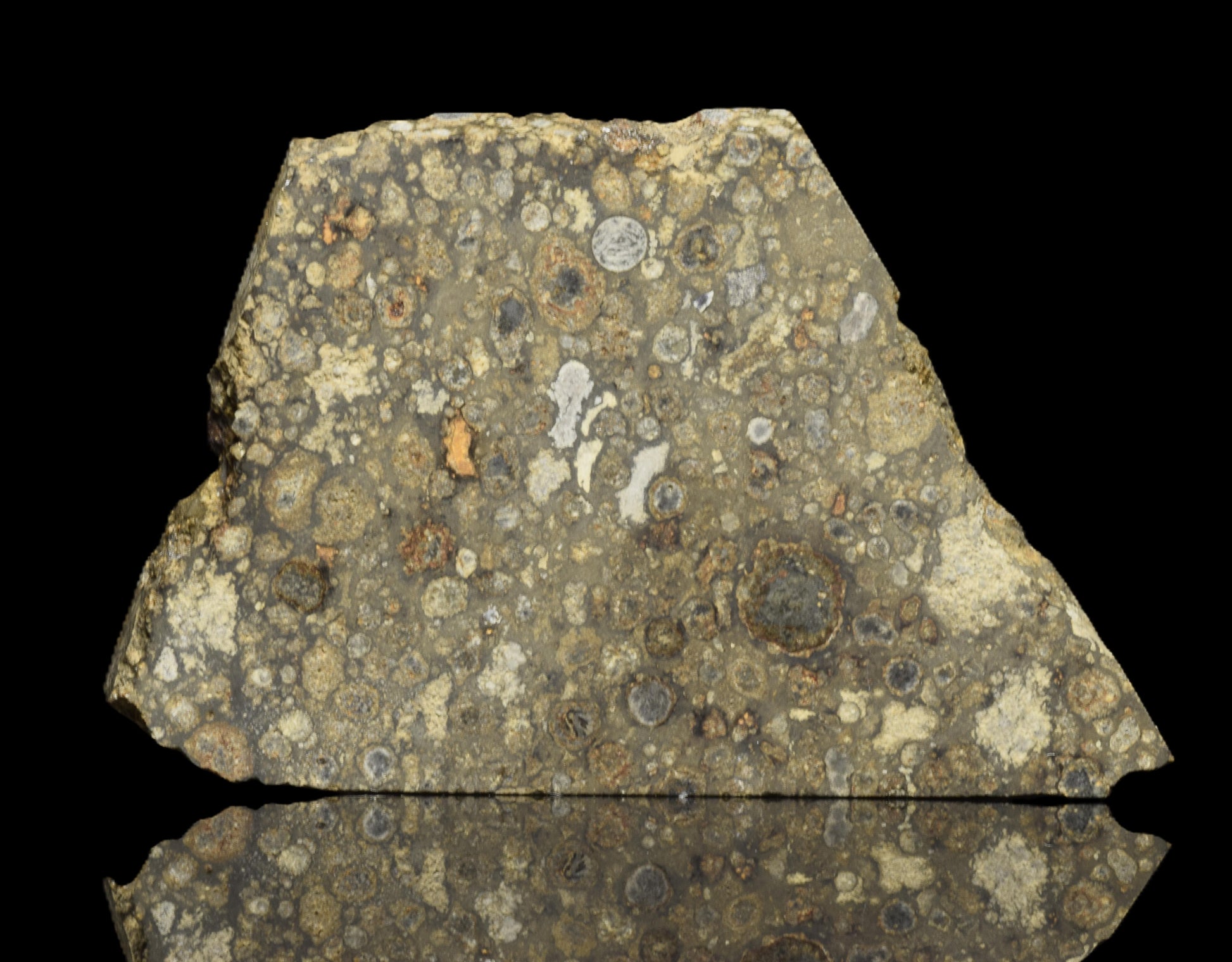 Close-up of NWA 14004 CV3 meteorite slice weighing 6.59 grams, showing metallic and mineral textures, from Buy Meteorite, LLC.