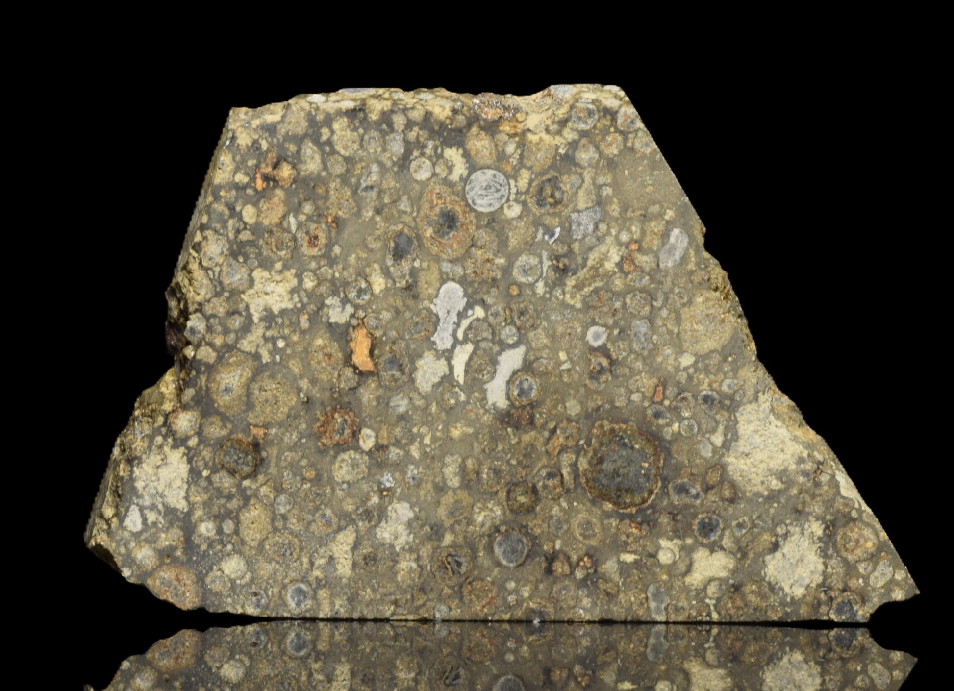Meteorite NWA 14004 CV3 slice, 6.59 grams, displayed on a black background, showcasing its textured, dark surface and mineral features.