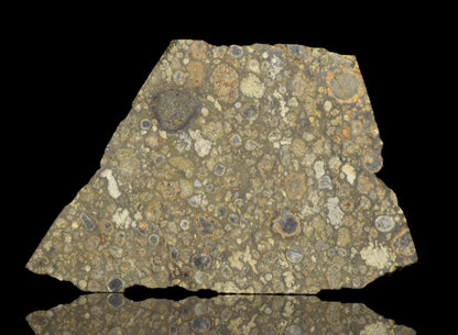 Close-up of NWA 14004 CV3 meteorite slice showing dark, textured surface with mineral inclusions, from Buy Meteorite, LLC.