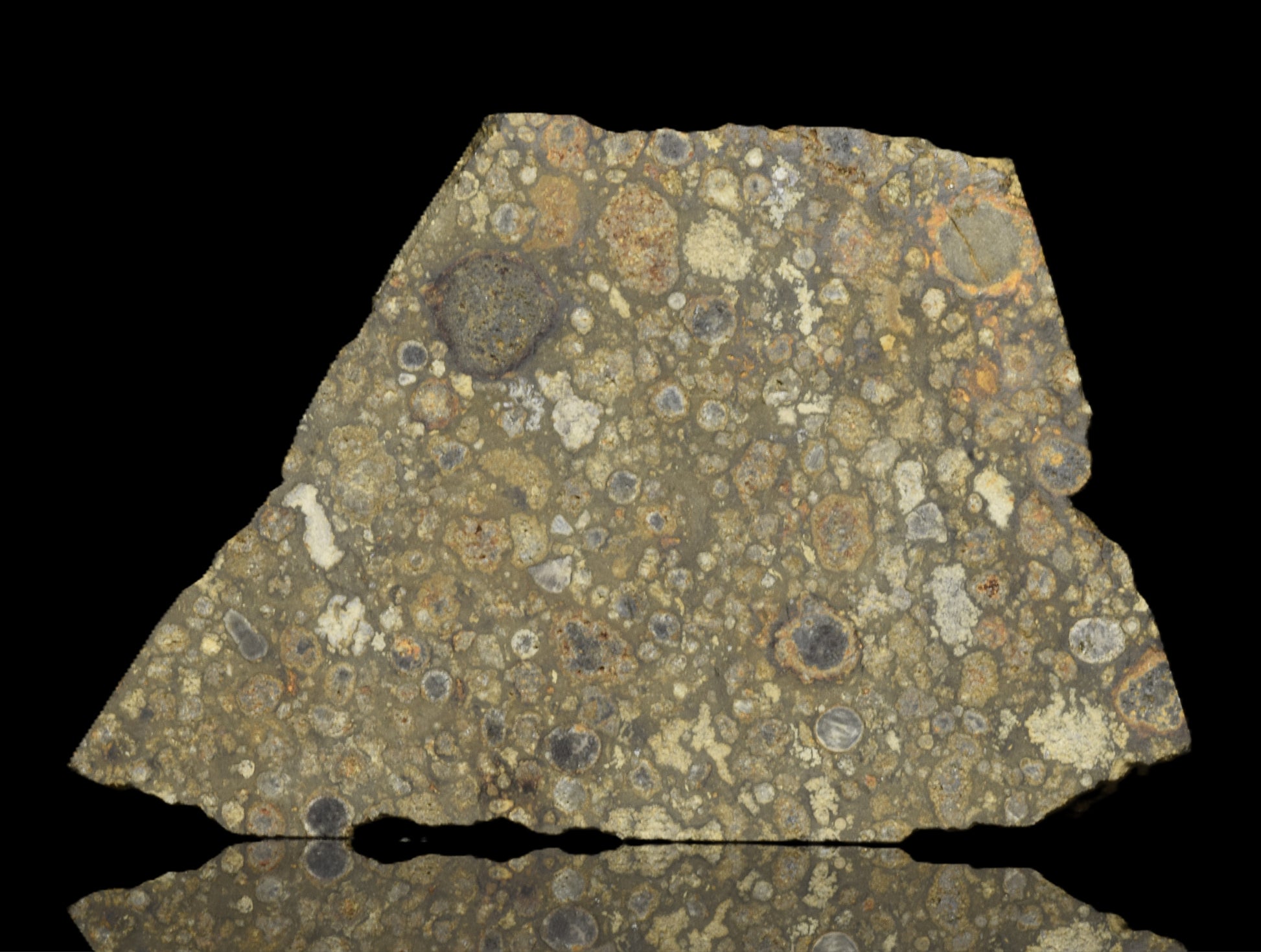 Close-up of NWA 14004 CV3 meteorite slice weighing 6.59 grams, showing its metallic texture and natural crater markings.