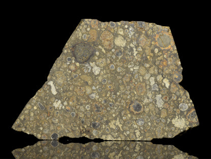 Close-up of NWA 14004 CV3 meteorite slice weighing 6.59 grams, showing its metallic texture and natural crater markings.