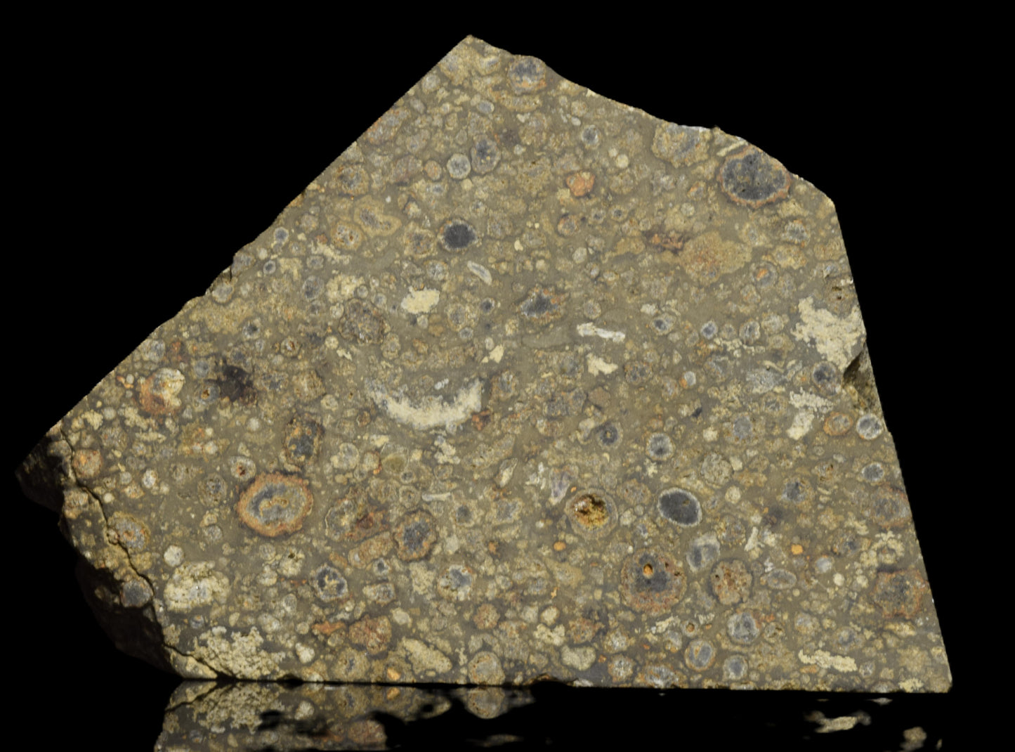 NWA 14004 – CV3 Slice 14.35 G