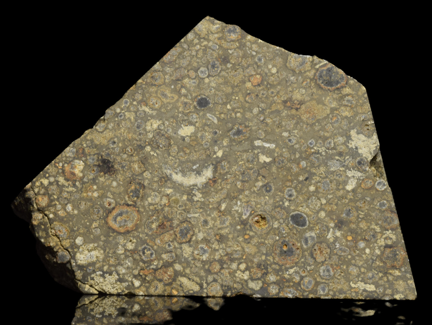 NWA 14004 – CV3 Slice 14.35 G