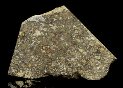 NWA 14004 – CV3 Slice 14.35 G