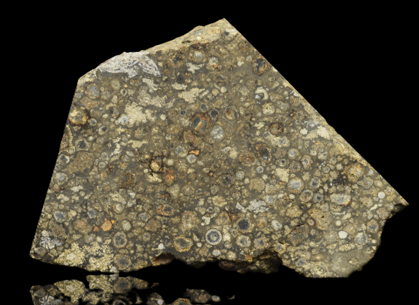 NWA 14004 – CV3 Slice 14.35 G