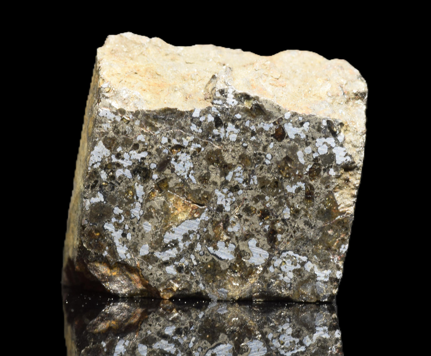 Talsint Mesosiderite Meteorite Slice – 1.39 g | Stony-Iron Meteorite