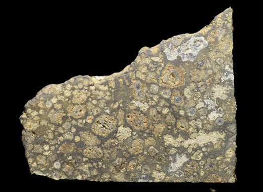 NWA 14004 – CV3 Slice 4.44 G