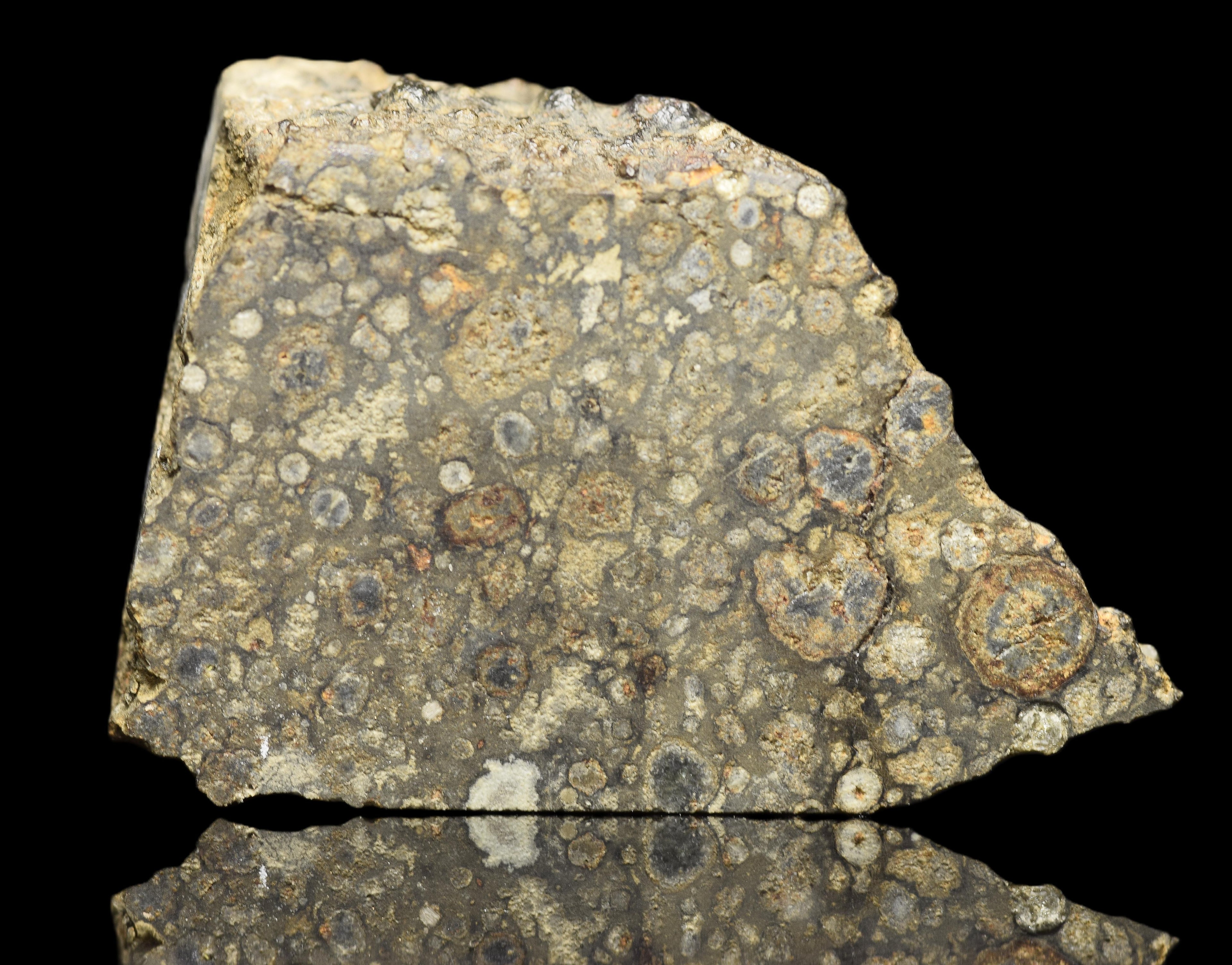 NWA 14004 – CV3 Slice 6.89 G