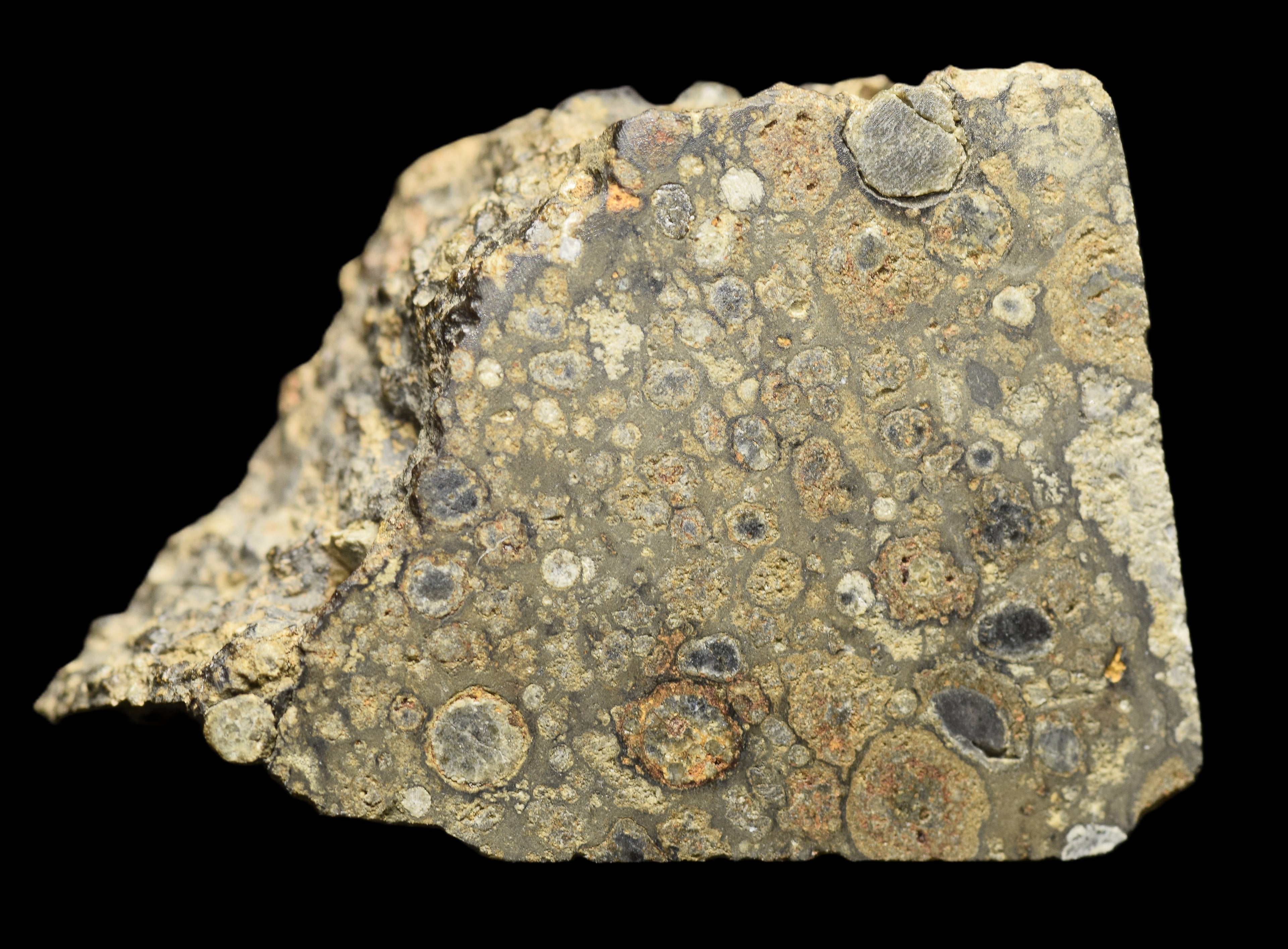 NWA 14004 – CV3 Slice 6.89 G