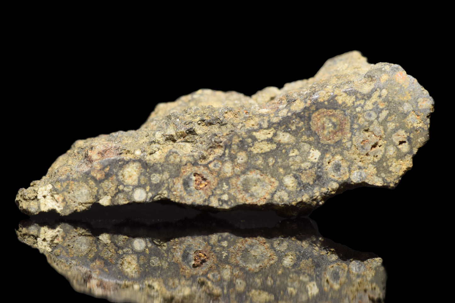 NWA 14004 CV3 meteorite slice weighing 1.54 grams, dark mineral-rich surface with natural crystalline texture.