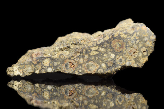 Close-up of NWA 14004 CV3 meteorite slice showing metallic and mineral textures, weighing 1.54 grams, from Buy Meteorite, LLC.