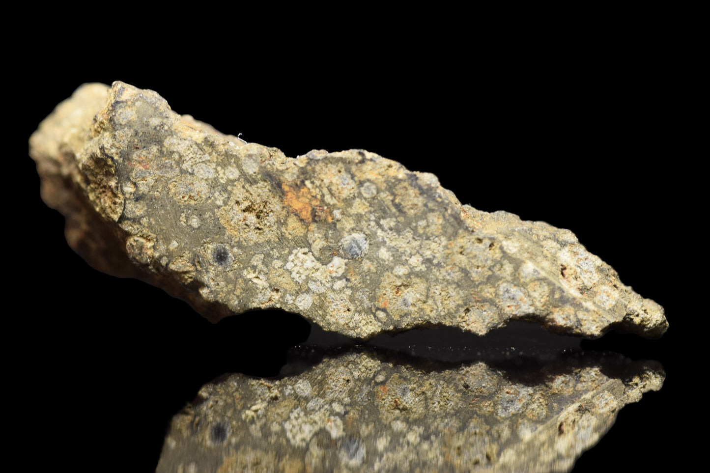 NWA 14004 CV3 meteorite slice weighing 1.54 grams, showing metallic and rocky textures, from Buy Meteorite, LLC.