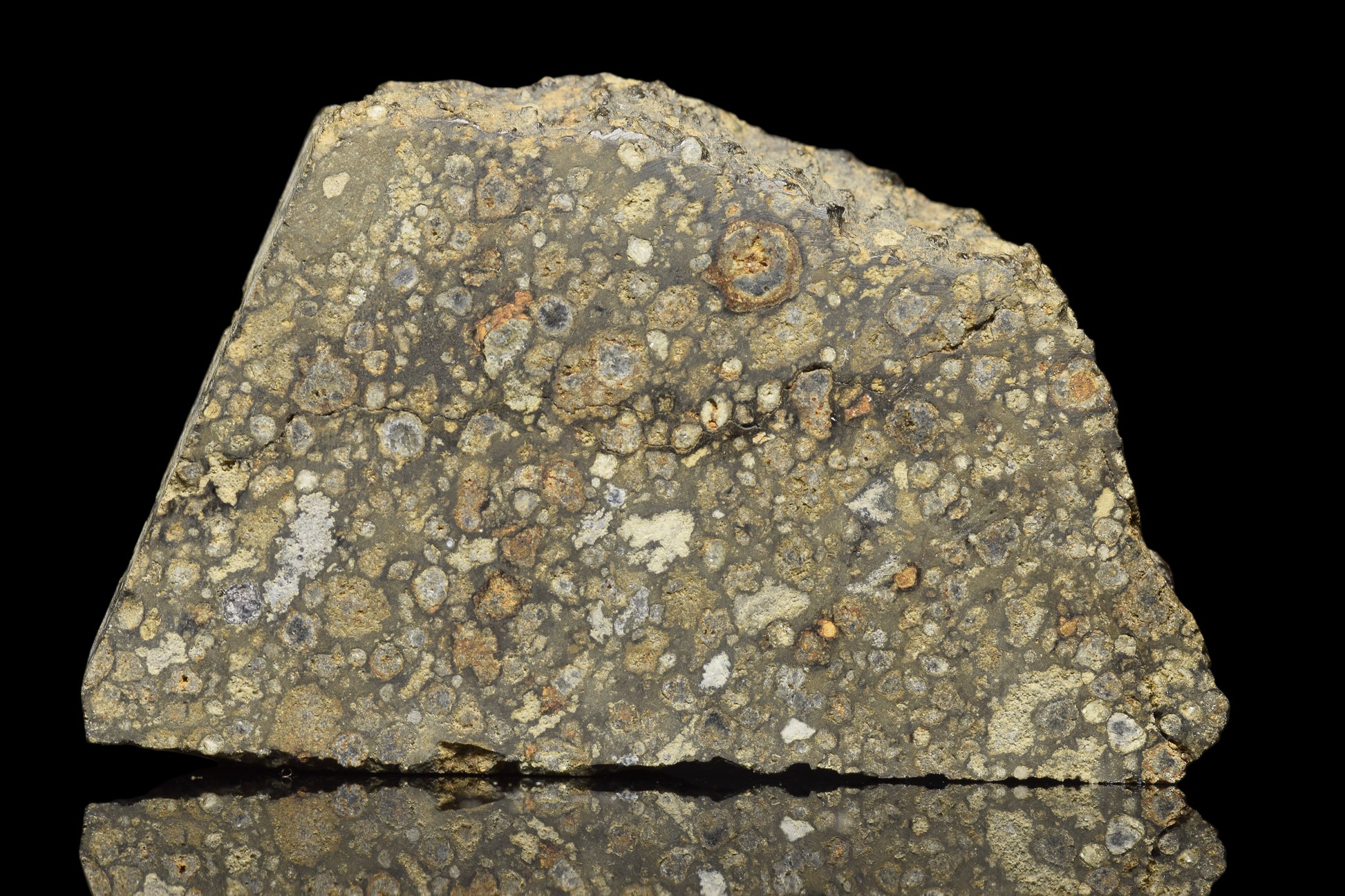NWA 14004 CV3 meteorite slice weighing 8.48 grams, showcasing its dark, textured surface with mineral inclusions.