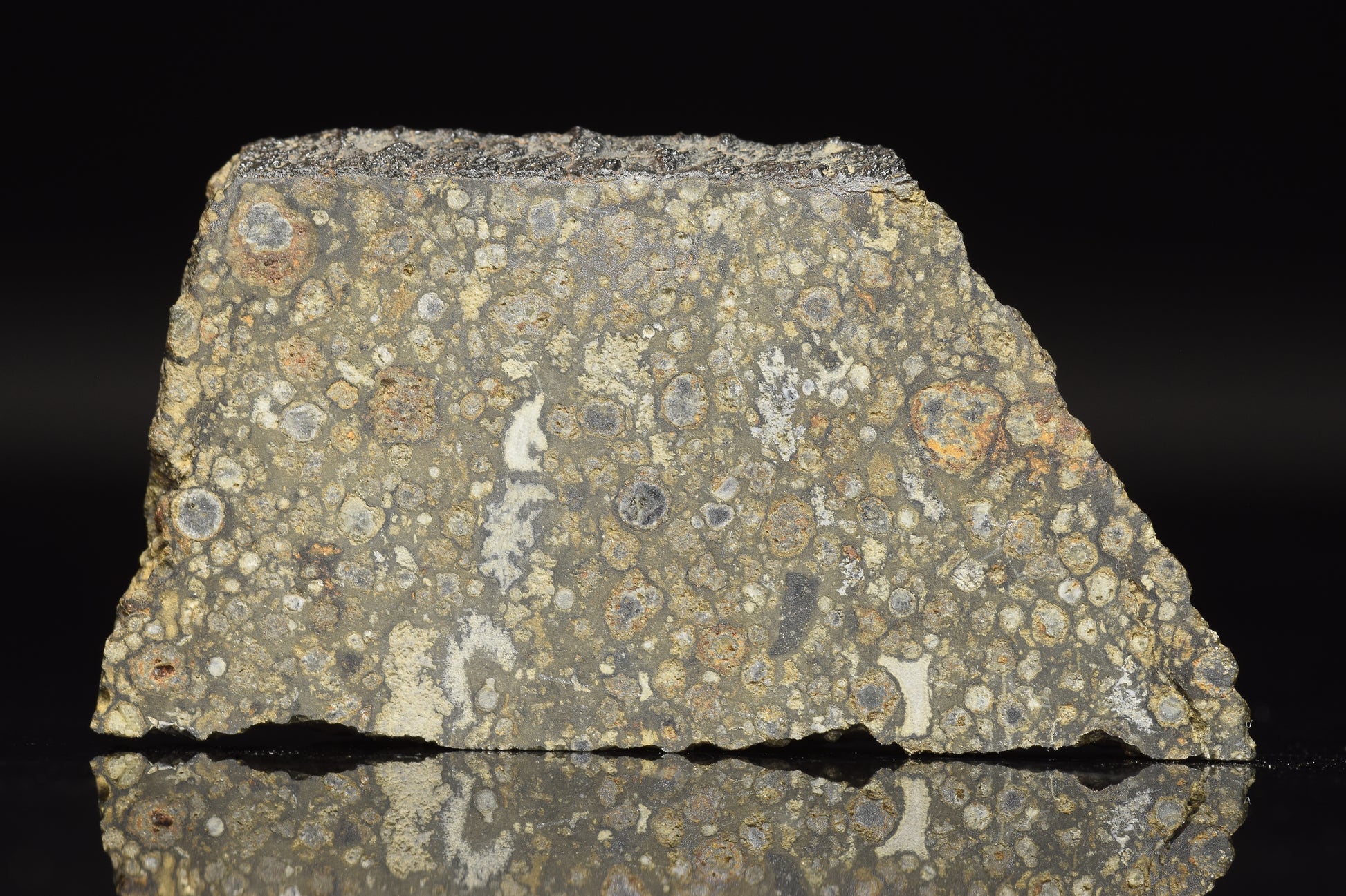 NWA 14004 CV3 meteorite slice weighing 6.60 grams, showing metallic and mineral textures, from Buy Meteorite, LLC.