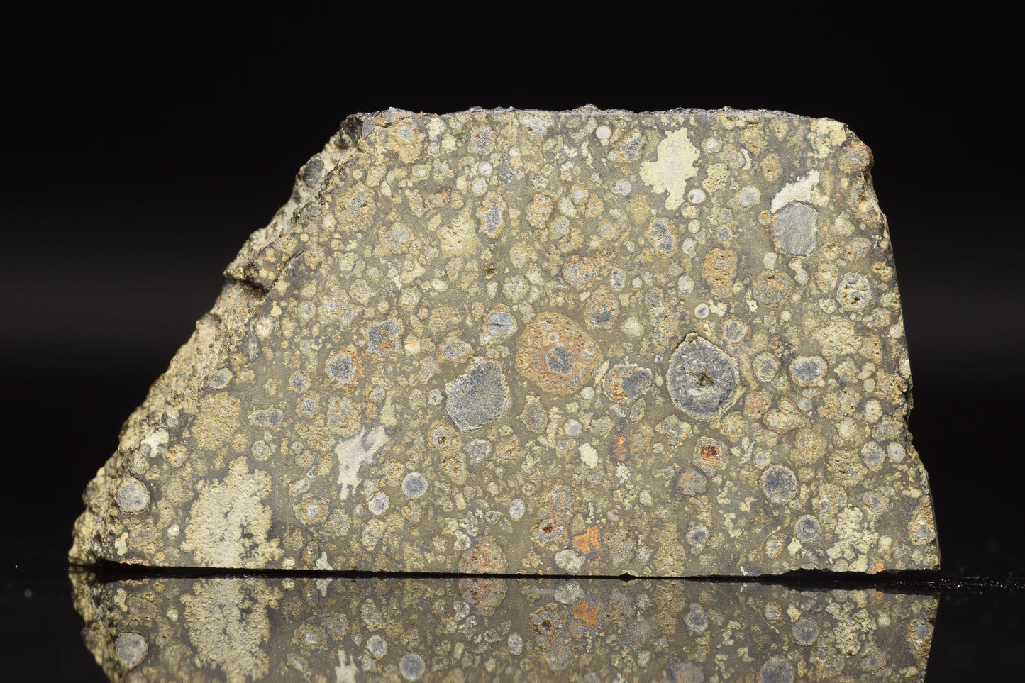 Close-up of a 6.60 g NWA 14004 CV3 meteorite slice showing metallic and rocky textures on a white background.