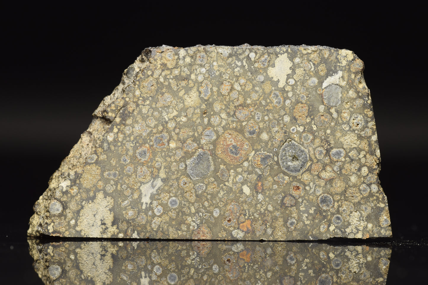 NWA 14004 CV3 meteorite slice weighing 6.60 grams, displayed on a white background, showing its dark, textured surface.