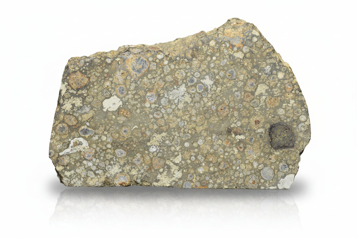 Slice of NWA 14004 CV3 meteorite weighing 11.92 grams, showcasing its dark, textured surface and mineral details.