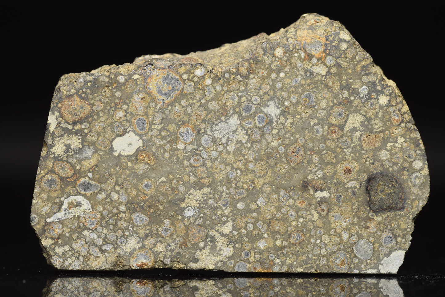 NWA 14004 CV3 meteorite slice weighing 11.92 grams, showcasing metallic and rocky textures, from Buy Meteorite, LLC.