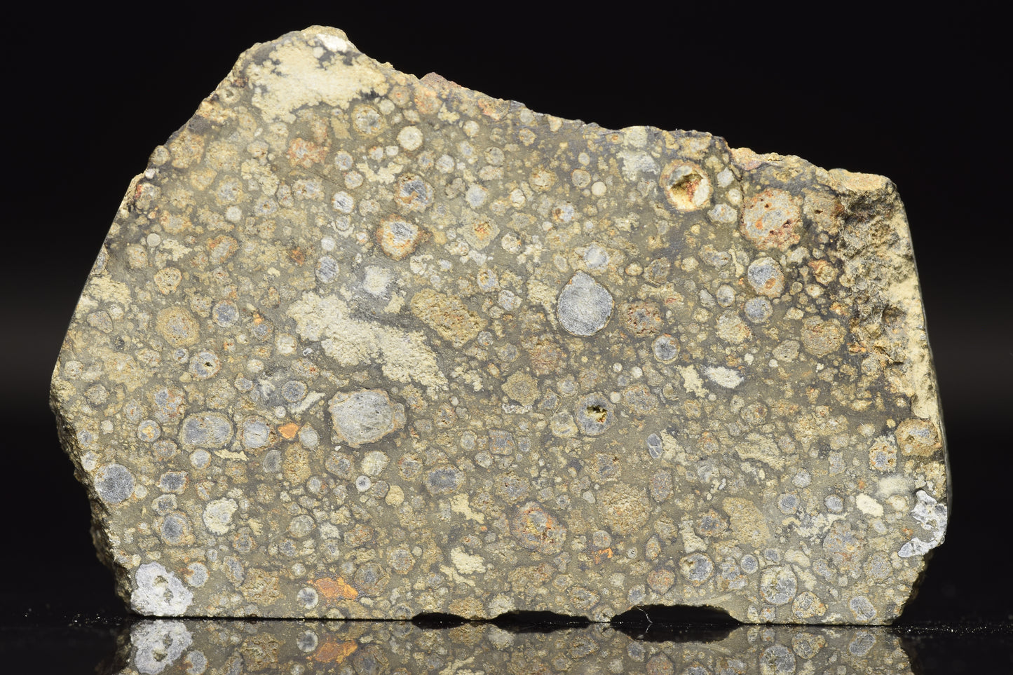 Meteorite NWA 14004 CV3 slice, 11.92 grams, showing metallic and mineral textures, from Buy Meteorite LLC.