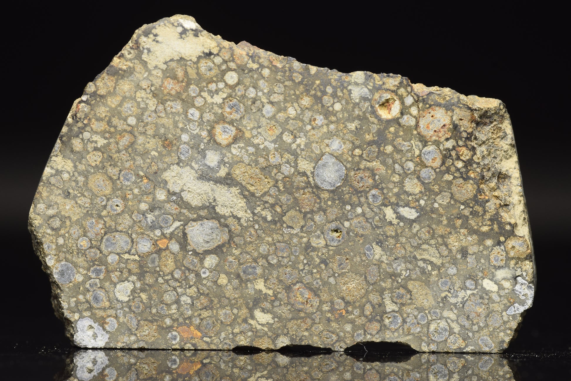 Meteorite NWA 14004 CV3 slice weighing 11.92 grams, showcasing metallic and mineral textures, from Buy Meteorite, LLC.