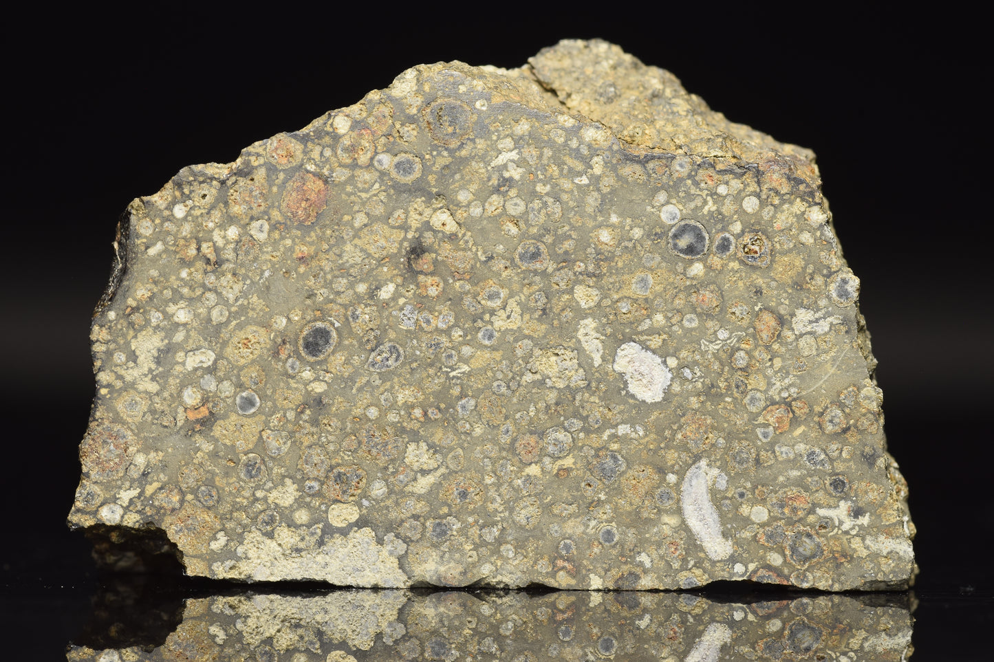 NWA 14004 CV3 meteorite slice weighing 17.21 grams, featuring metallic and mineral matrix, displayed on a white background.