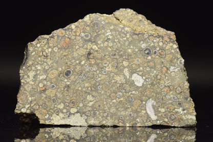 NWA 14004 CV3 meteorite slice weighing 17.21 grams, featuring metallic and mineral matrix, displayed on a white background.