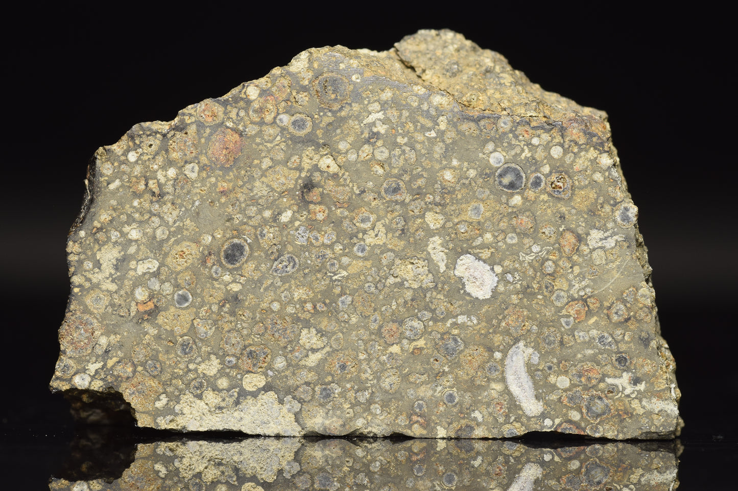 Close-up of NWA 14004 CV3 meteorite slice weighing 17.21 grams, showing its dark, textured surface and mineral details.