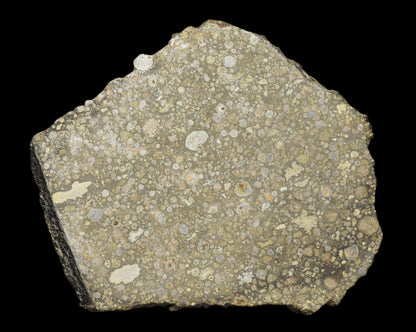 Close-up of a METORITE CHONDRITE NWA 14004 CV3 slice showing dark, textured mineral matrix and metallic inclusions.