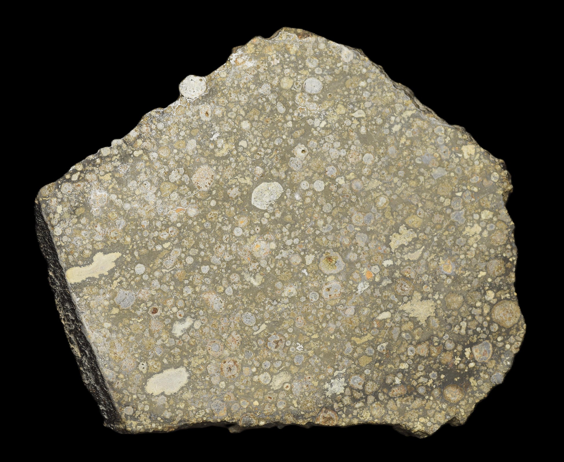 Meteorite NWA 14004 CV3 slice, 25.55 grams, showing dark fusion crust and metallic mineral interior, from Buy Meteorite, LLC.