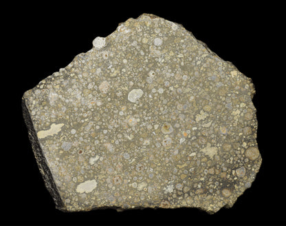 Slice of NWA 14004 CV3 meteorite chondrite with a dark fusion crust and visible mineral inclusions, weighing 29.42 grams.