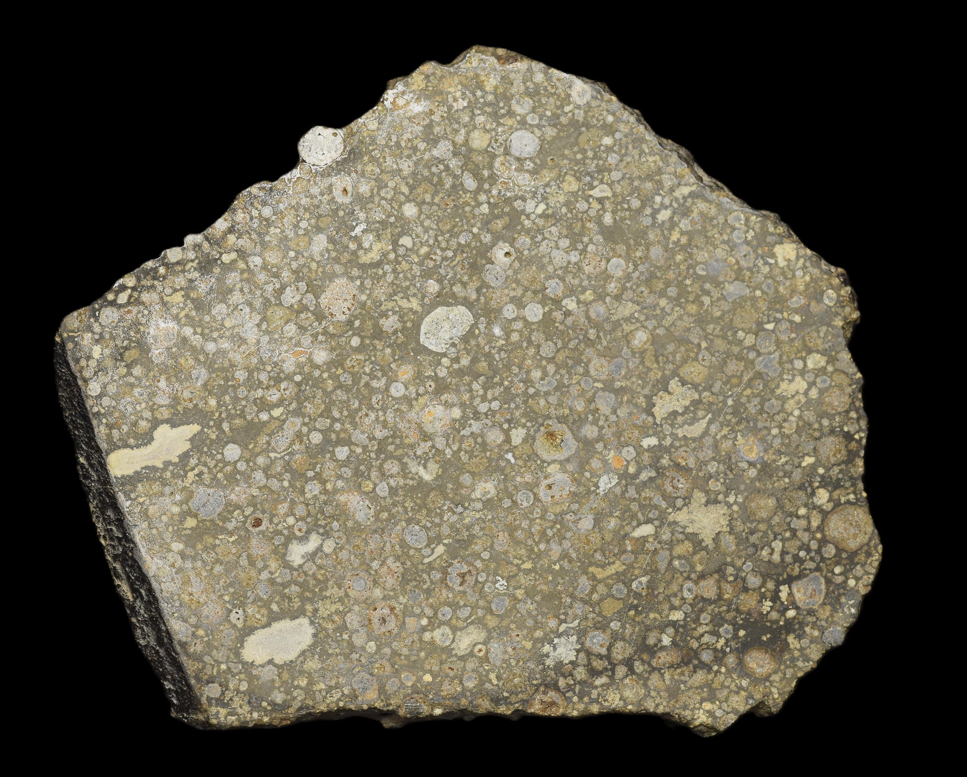 Close-up of NWA 14004 CV3 meteorite slice weighing 25.55 grams, showcasing its dark, textured surface and mineral details.