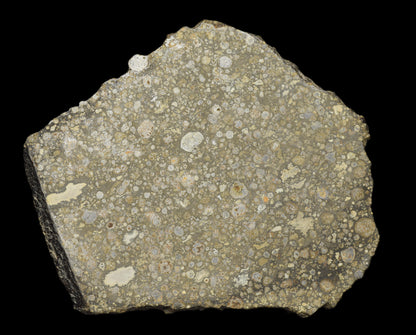 Close-up of NWA 14004 CV3 meteorite slice weighing 25.55 grams, showcasing its dark, textured surface and mineral details.