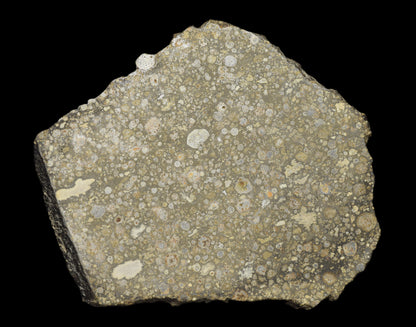 Slice of NWA 14004 CV3 meteorite chondrite weighing 29.42 grams, showing dark matrix and mineral inclusions.
