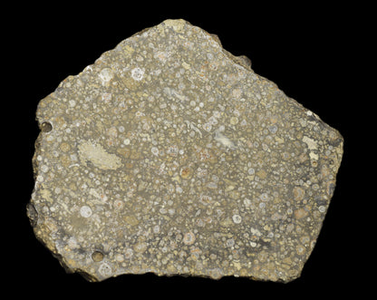 Slice of NWA 14004 CV3 meteorite chondrite weighing 29.42 grams, showing metallic and rocky textures, from Buy Meteorite, LLC.