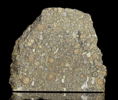 NWA 14004 – CV3 Slice 21.49  G