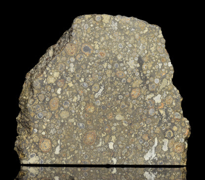 NWA 14004 – CV3 Slice 21.49  G