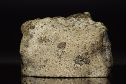 NWA 15405 Eucrite Main Mass 106.7 G