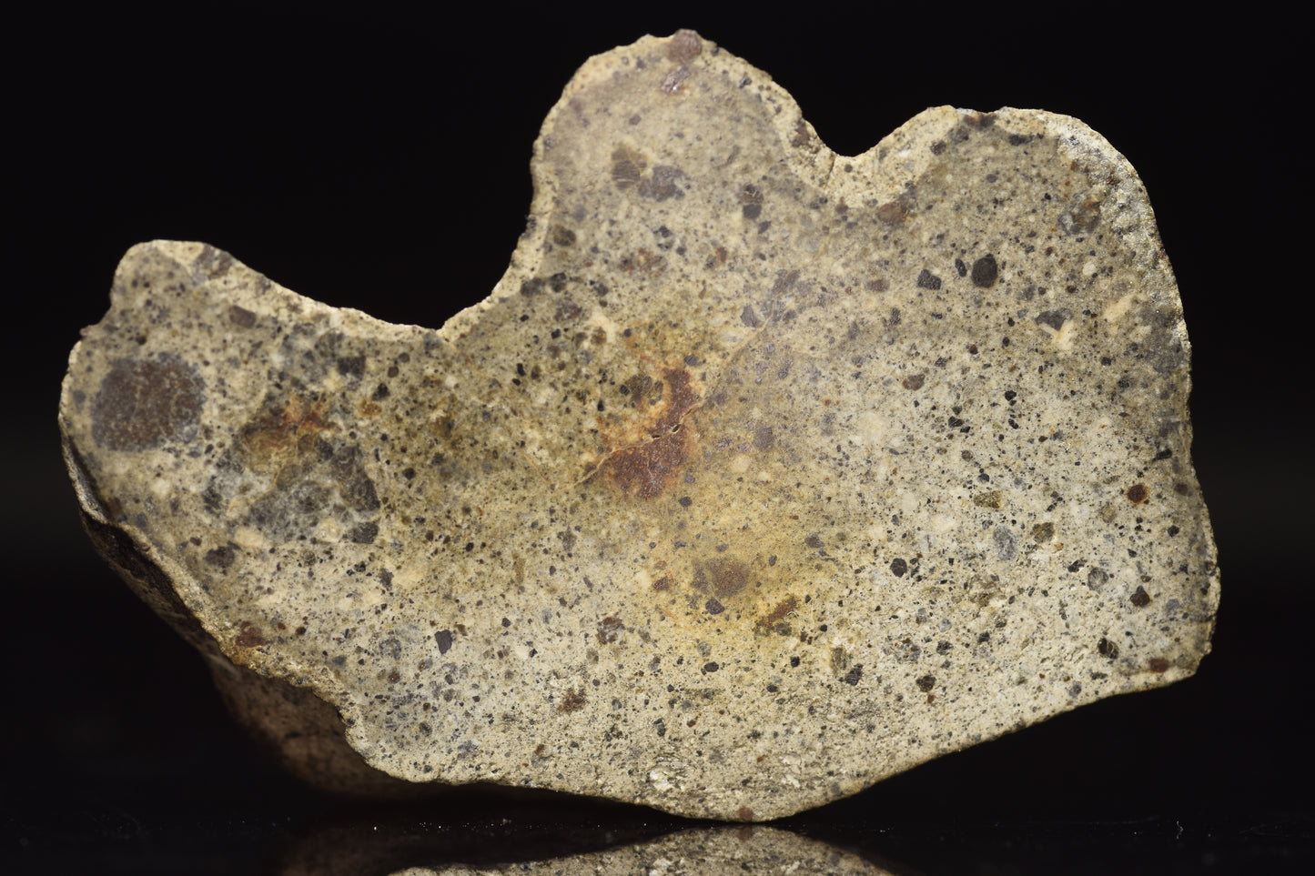 NWA 15405 Eucrite Endcut 31.17 G