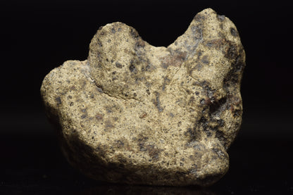 NWA 15405 Eucrite Endcut 31.17 G