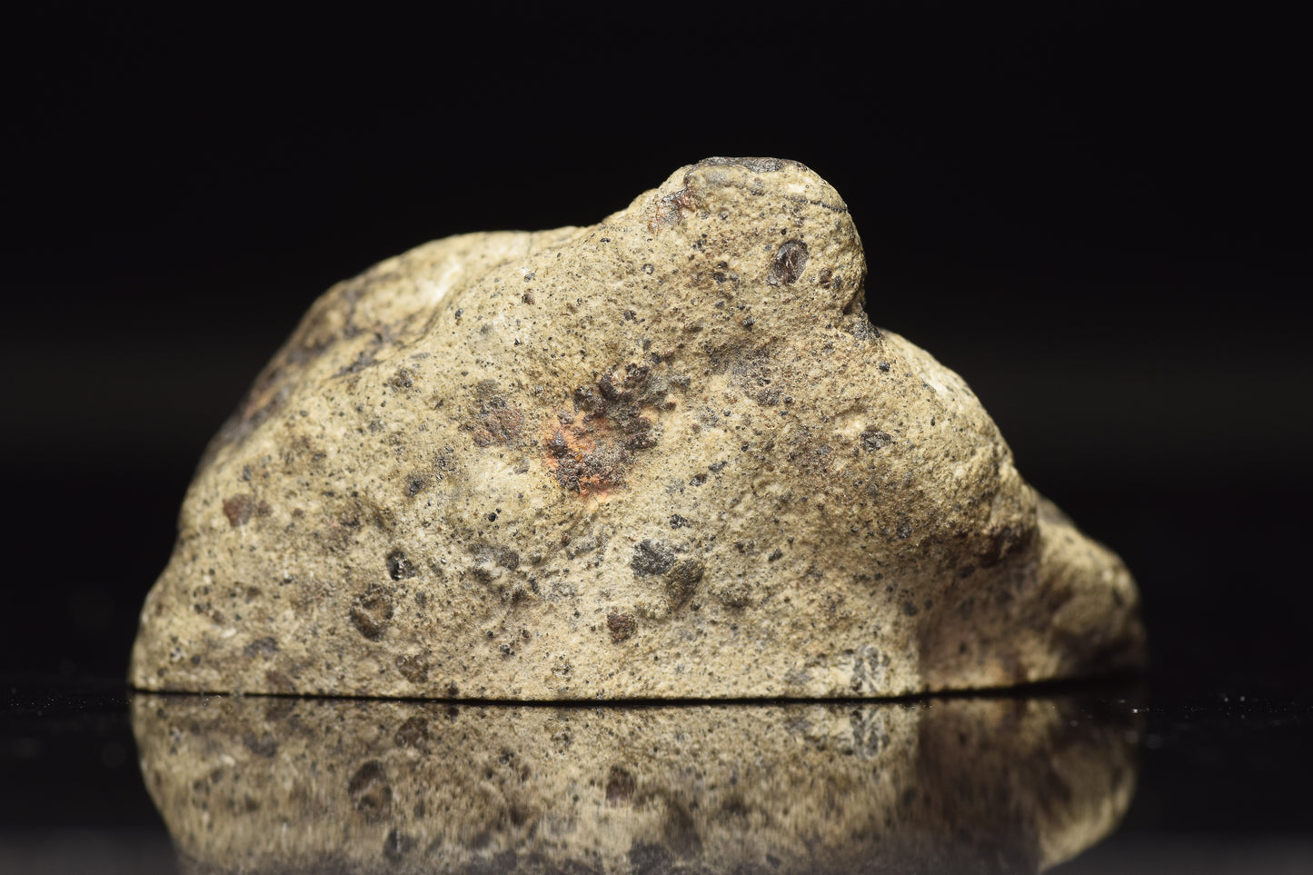 NWA 15405 Eucrite Endcut 31.17 G